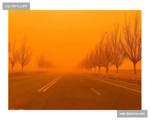 印第安维尔斯赛场遭遇沙尘天气，多场比赛被迫延迟